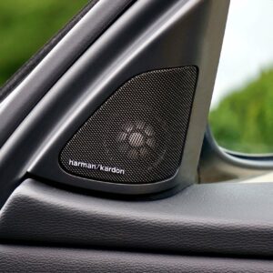 Premium Loudspeakers for Car Audio Applications